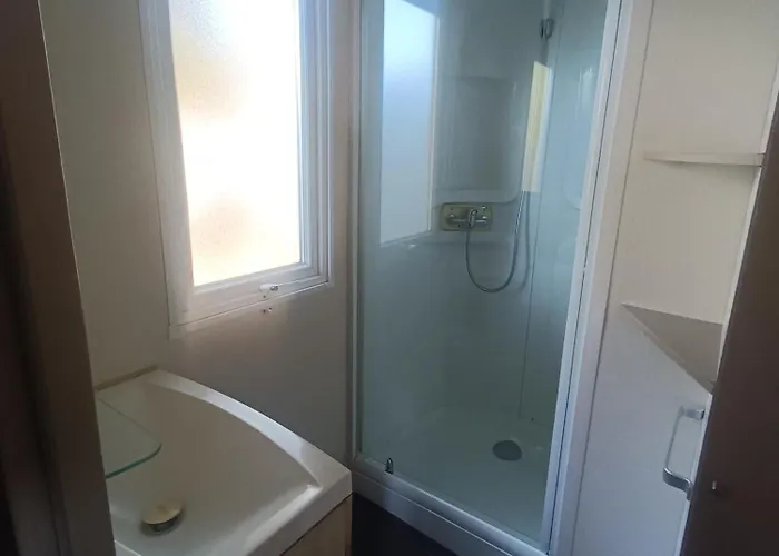 营地 Mobile-home 7 Fonts 阿格德